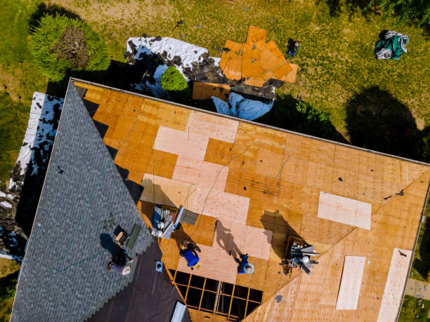 Best Roof Gutter Cleaning  in Arp, TX