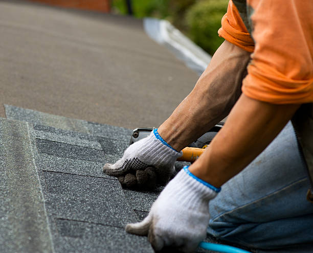 Best Flat Roof Repair Services  in Arp, TX